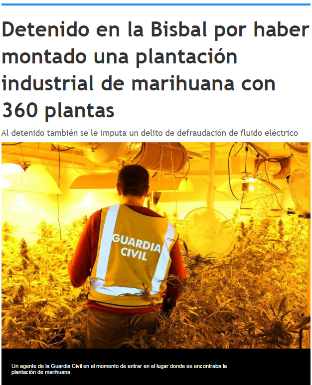 Detenido por plantación industrial de marihuana